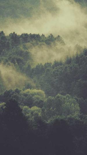 企业服务网站建设截图1