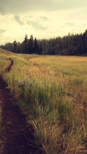 常德网站seo截图3