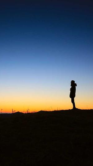 seo站长工具论坛截图1