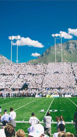 seo优化用什么工具截图2