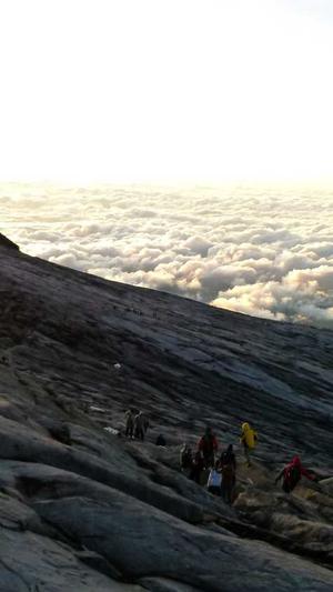 免费seo外链工具截图3