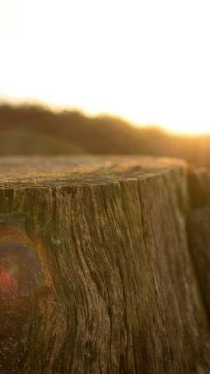 重庆怎么站seo截图3