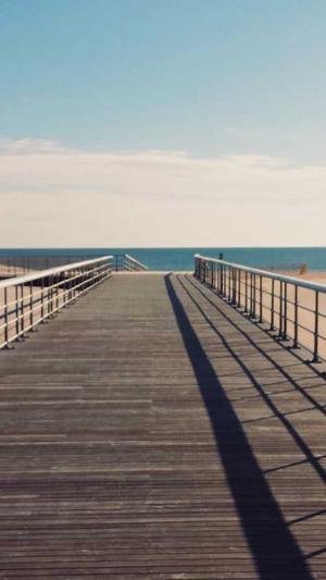 佛山网站seo截图3