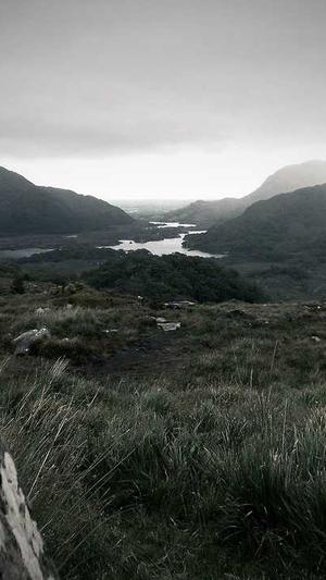 蜘蛛池代理截图3