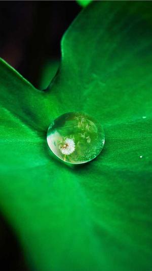 seo泛目录程序截图4