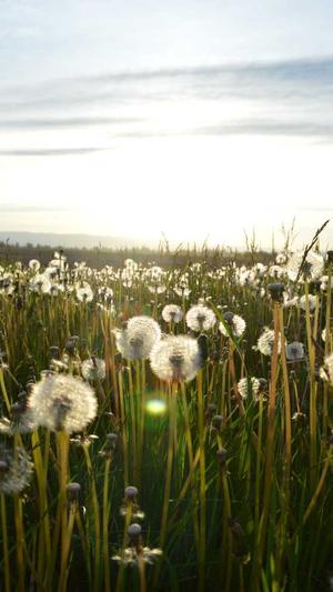 蜘蛛池出租提供商截图3