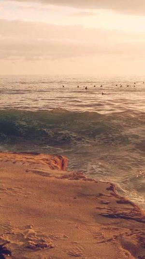 在线seo超级外链工具截图4