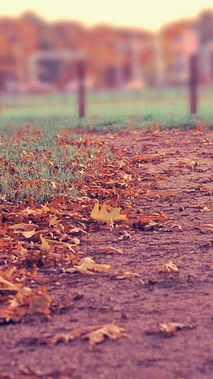 可靠的上海网站建设截图2