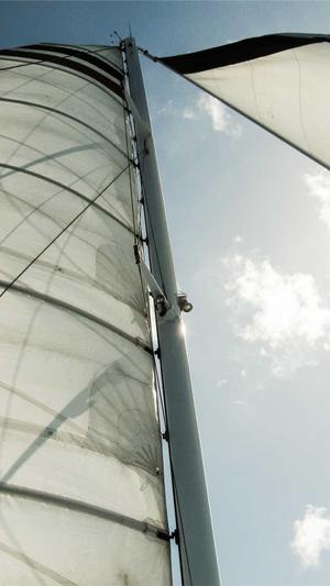 seo站长工具查询截图2