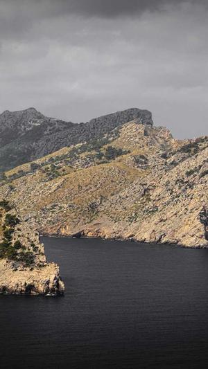 东莞网站建设截图5