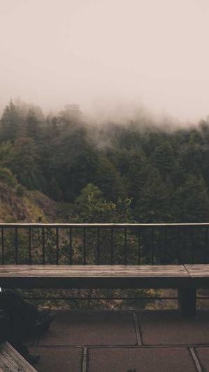 站长的seo分析工具截图4