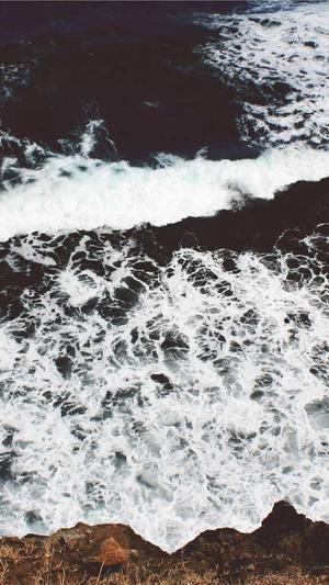 蜘蛛池手工制作视频截图4