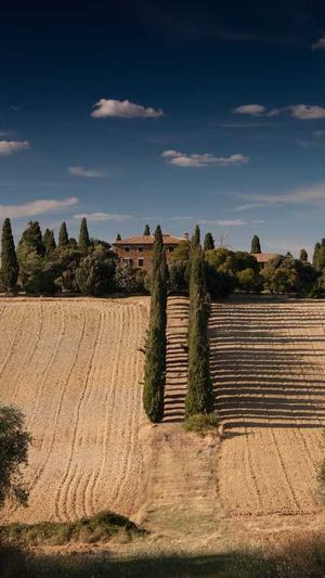 搭建小型蜘蛛池截图4