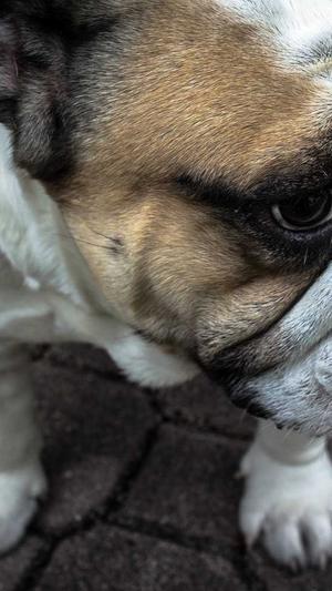 seo建模工具截图3