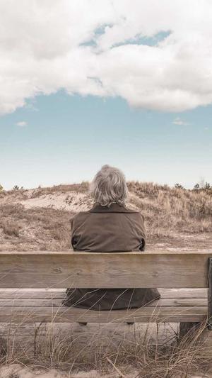 在线seo优化工具截图3