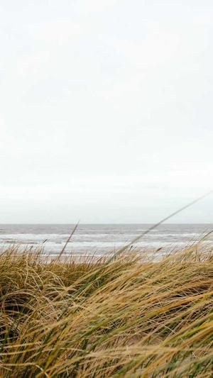 蜘蛛池怎么样引蜘蛛截图1