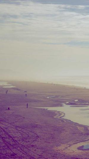 网站收录不好买蜘蛛池截图3