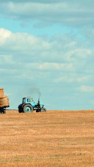 百度seo排名点击器截图4