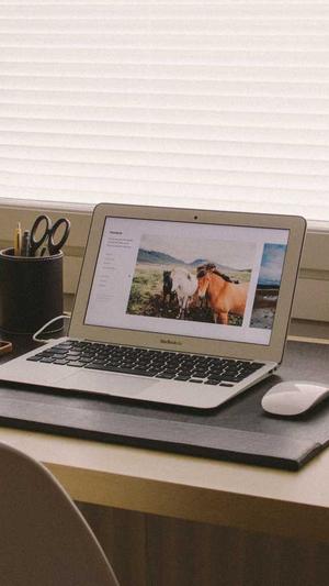 seo必备工具截图3