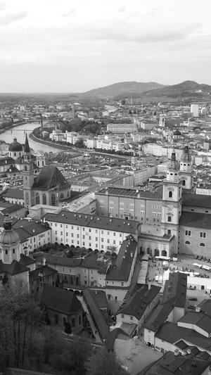 seo快速工具截图2