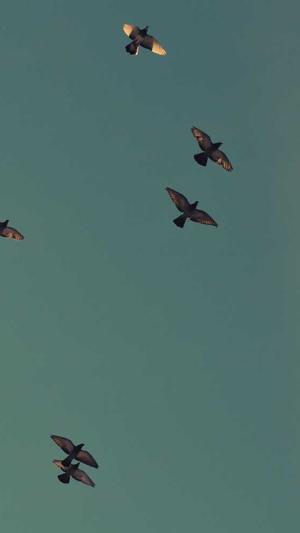 扬州网站建设截图1