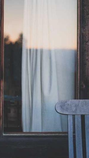 凤城seo工具截图1