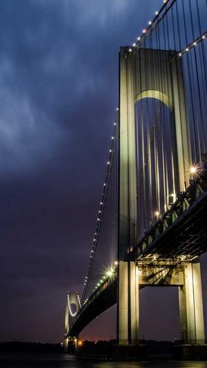 零距离泛目录推广平台截图4