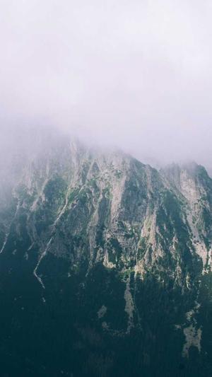 武汉seo推广截图1