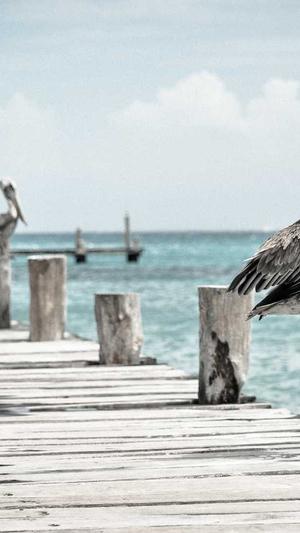 天津seo排名工具截图3