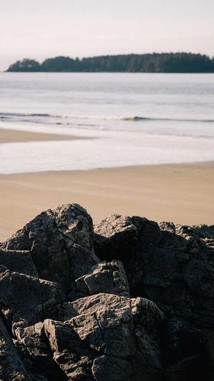 重庆seo网站系统截图3