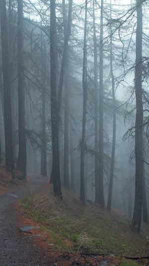 天津seo优化截图3