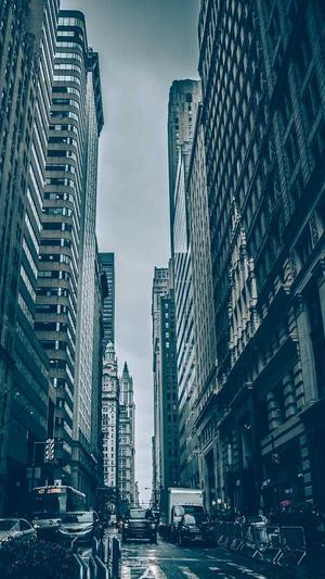 seo专业培训截图2