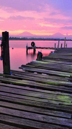 seo 排名工具截图2