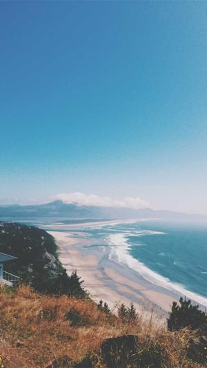 seo工具 网站优化截图3