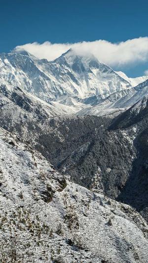 百度优化黑帽泛目录截图4