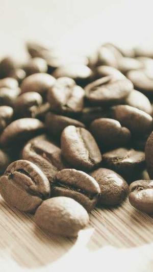 零距离泛目录官网营销截图4