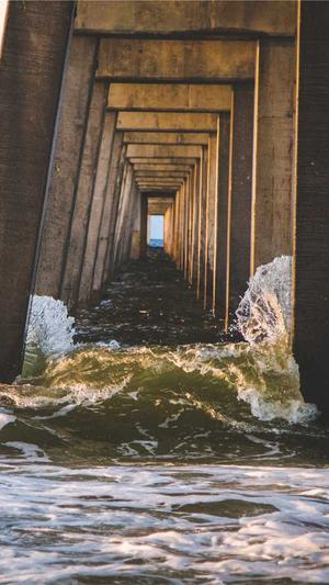 小旋风蜘蛛池新手入门截图1