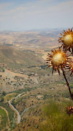外行学习个人网站建设截图3