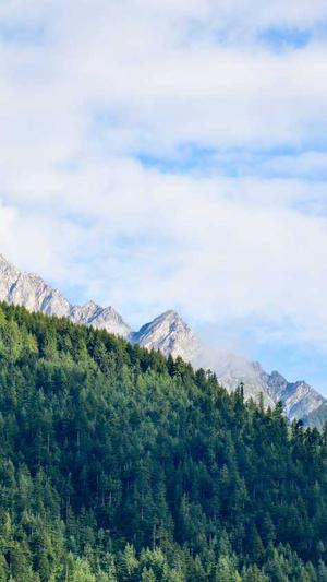 广州seo公司截图1