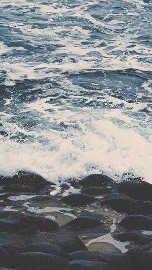 seo统计工具截图2