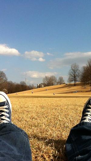 p2p蜘蛛池手机版截图1