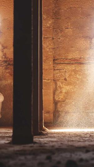 陕西 网站建设截图5