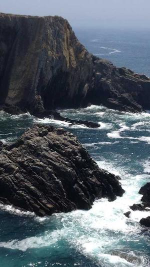 SEO优化推广截图3