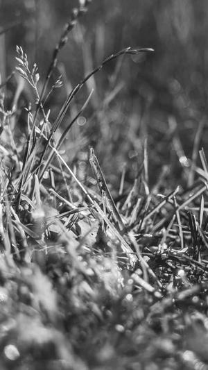 排名seo优化截图2