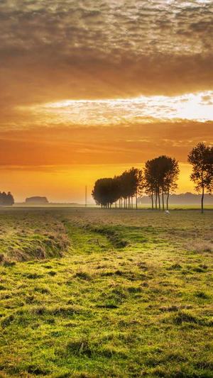 泛目录怎么做霸屏推广截图3