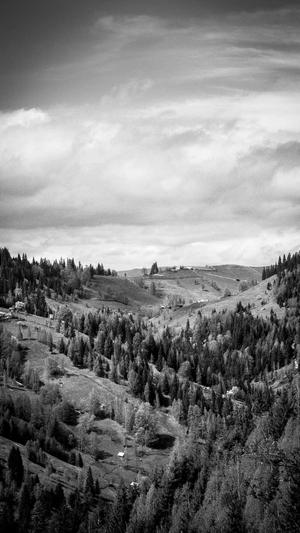 seo关键词优化培训截图1