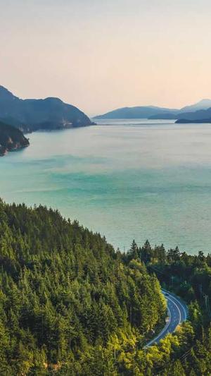 seo外链工具多少钱截图1