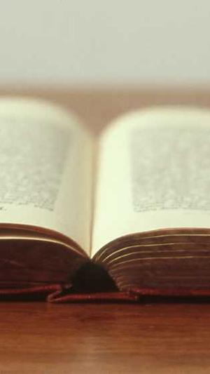 陕西百度蜘蛛池租用截图2