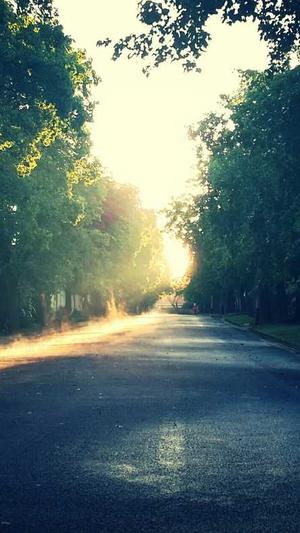 p2p蜘蛛池手机版截图4