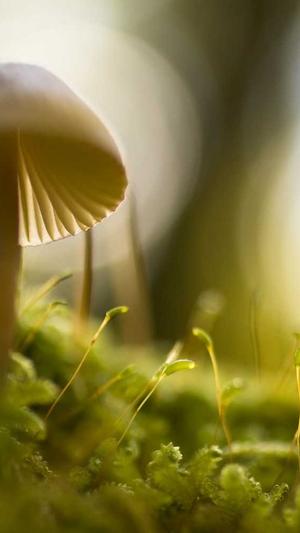 企业网站建设方案截图2